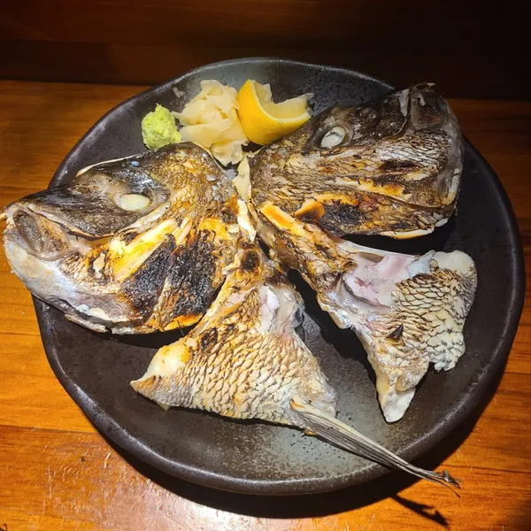 일로 사진 4