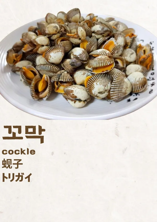 참새방앗간 사진 5