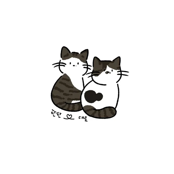 하우스 하일 사진 5