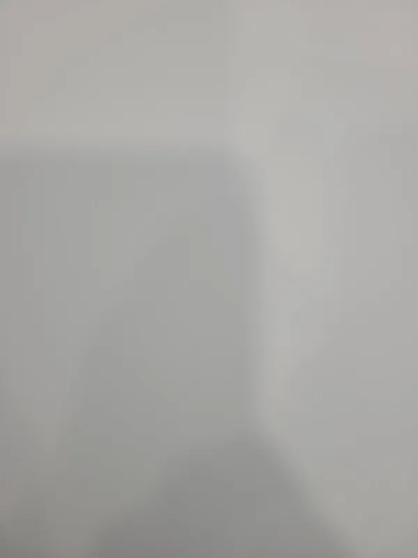 메타포레스트 사진 3