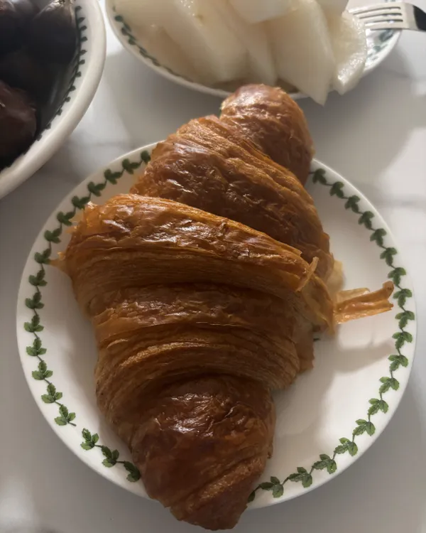 벨팡 사진 5