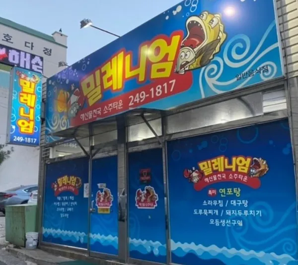 밀레니엄 사진 3