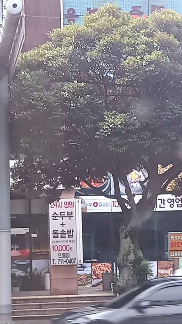 일품순두부 연동점 사진 4