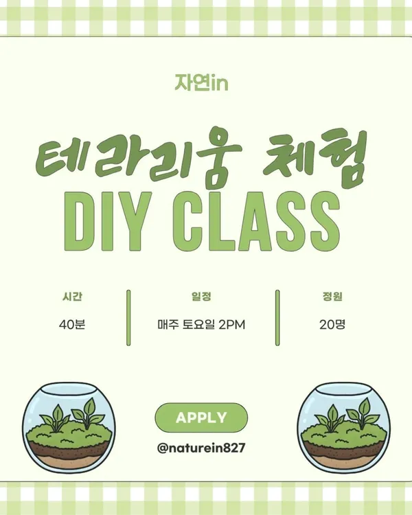 자연인제주족욕 사진 3
