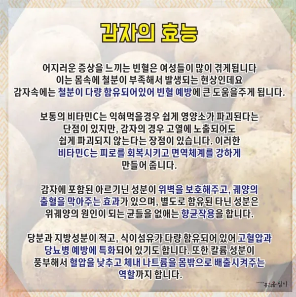 강릉홍가네옹심이 사진 4