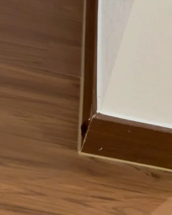 ホシムチョンの写真5