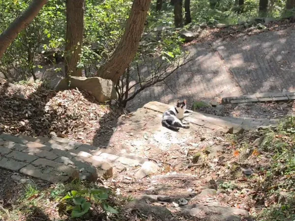 봉래산 사진 4