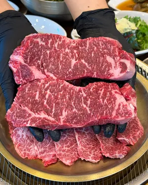 イルウォルハヌ