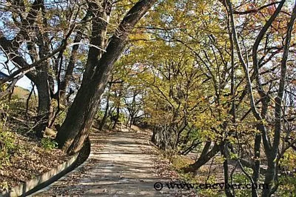옥산서원 사진 4