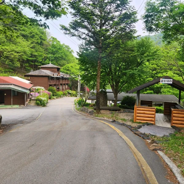 집다리골자연휴양림 사진 3