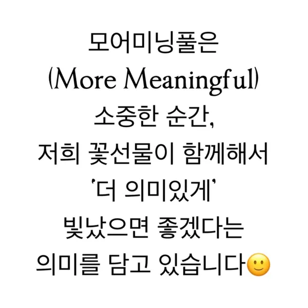 모어미닝풀 사진 2