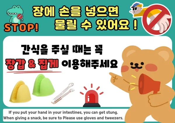 애니멀클럽 사진 4
