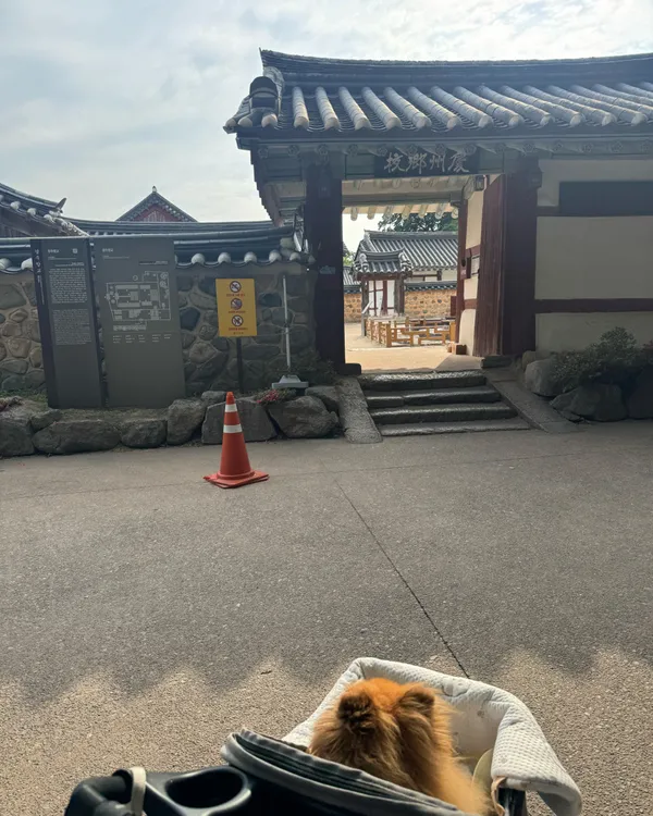 경주 가볼만한 곳 17곳