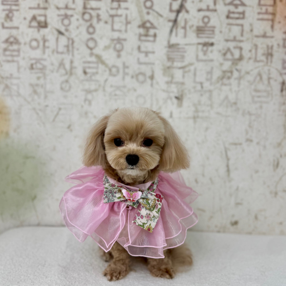 물꼬기 사진 4