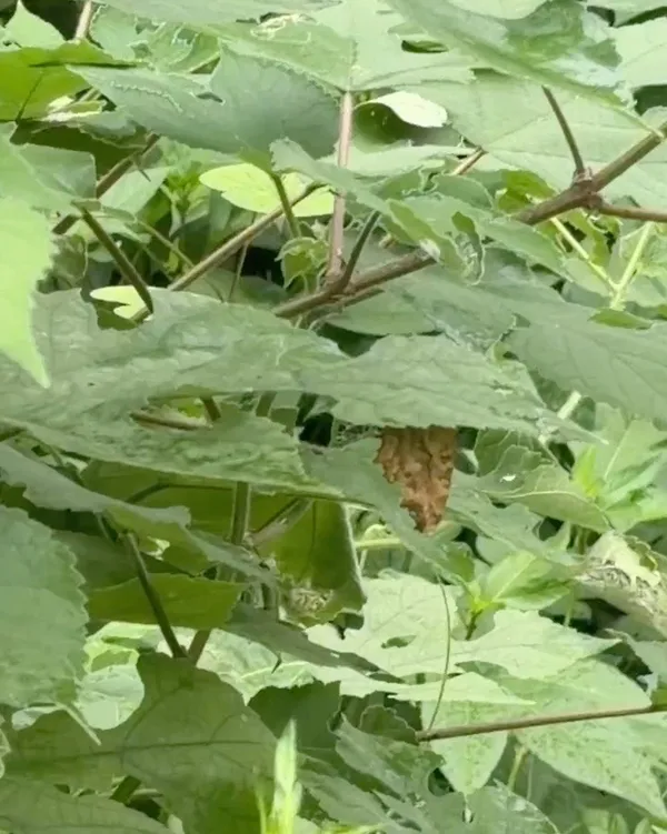 난지 한강공원 사진 3