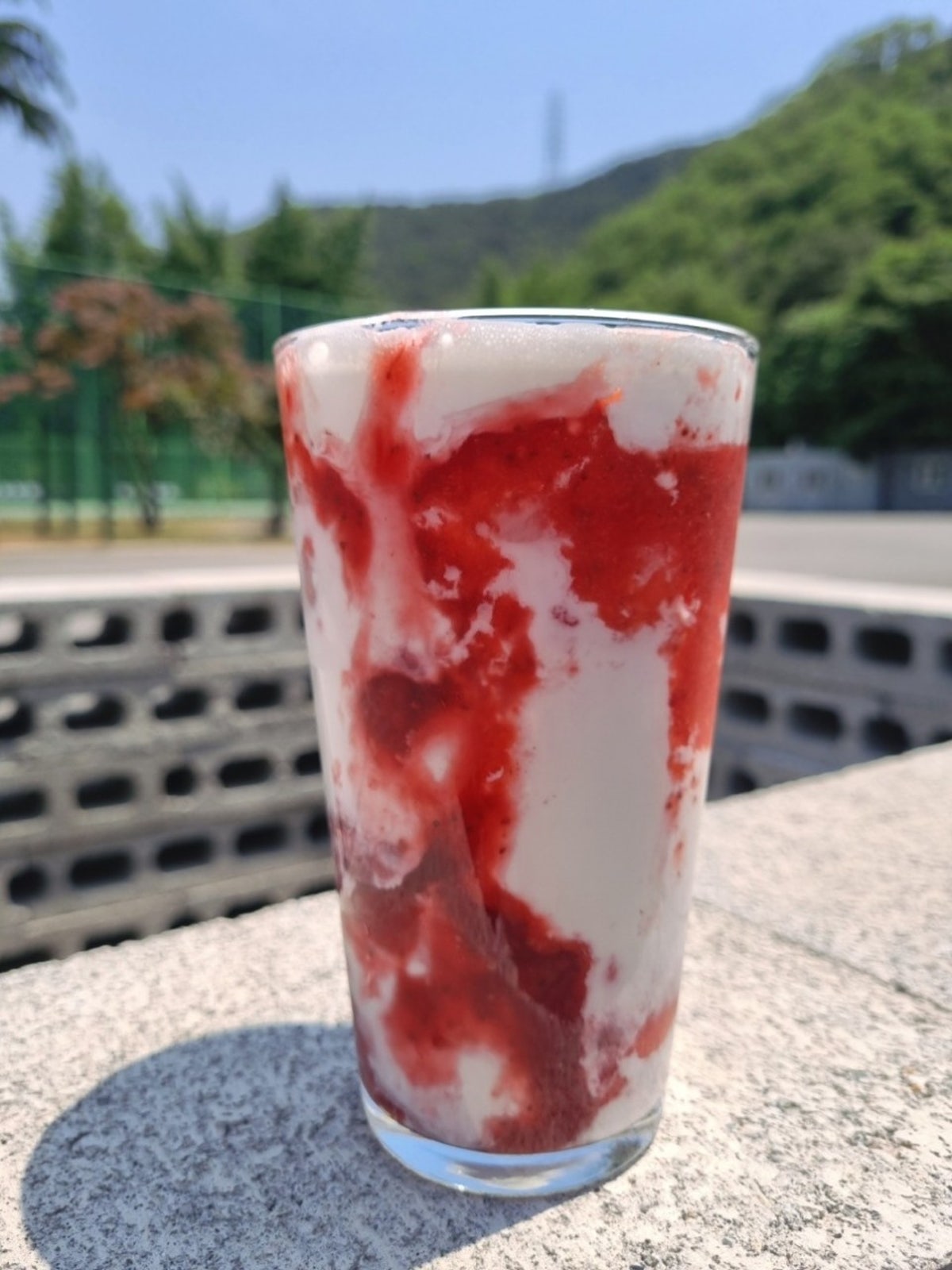 오랑주리 사진 3