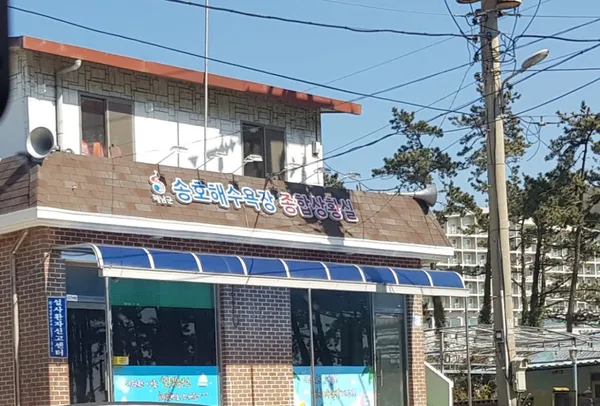땅끝송호해수욕장 사진 2