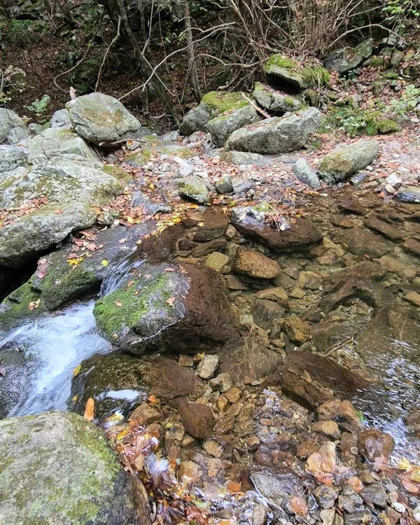 화악산 사진 4