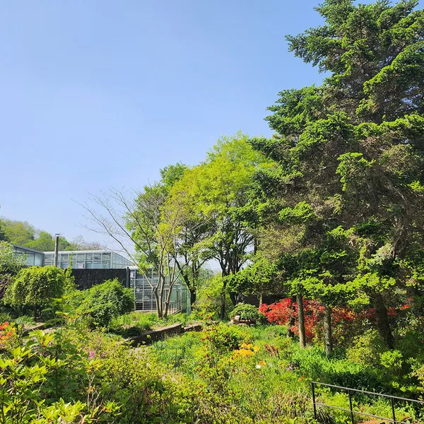 ハンテク植物園の写真4
