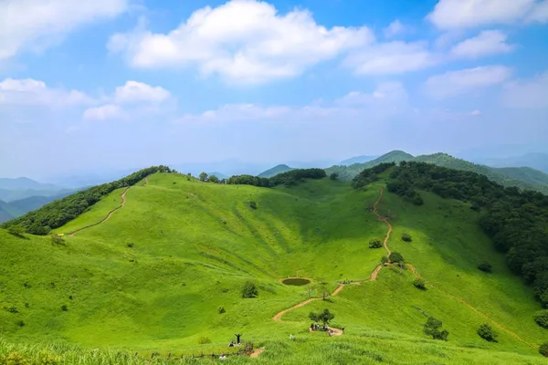 민둥산