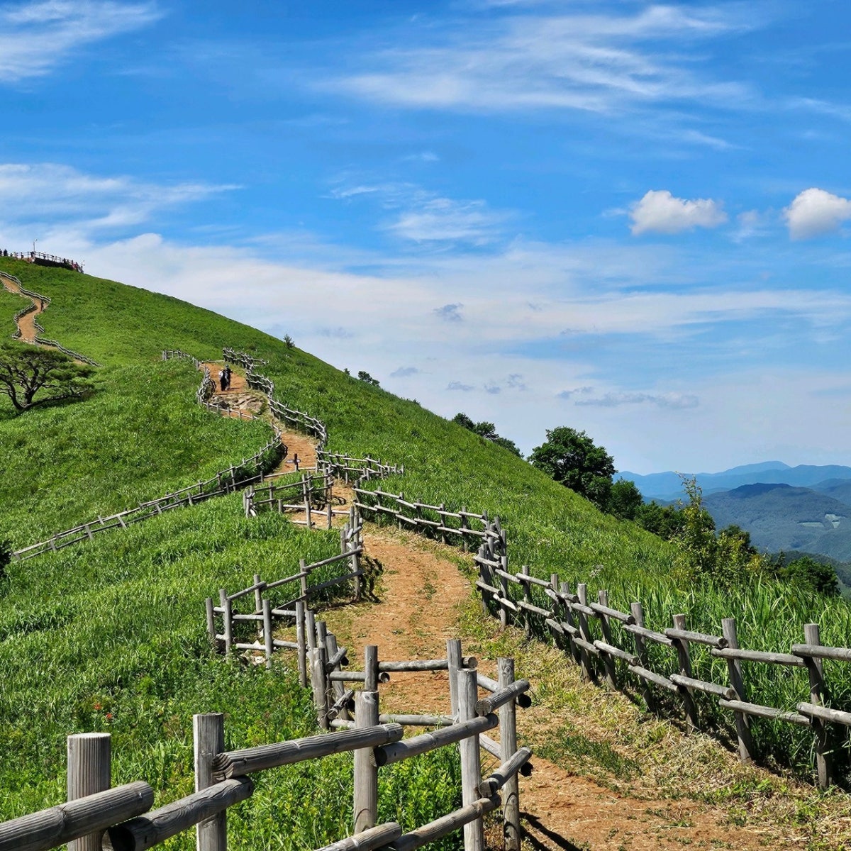 민둥산 사진 2