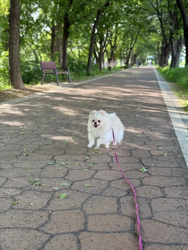 철산육회 철산본점 사진 2