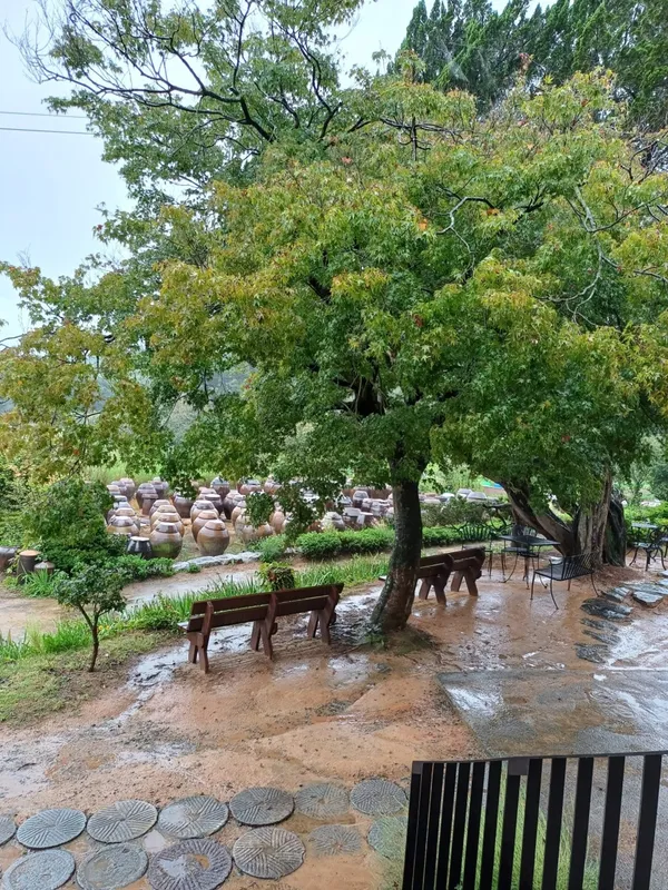 소박한밥상 사진 5