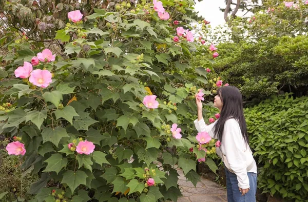 숨도, 귤림성 사진 5