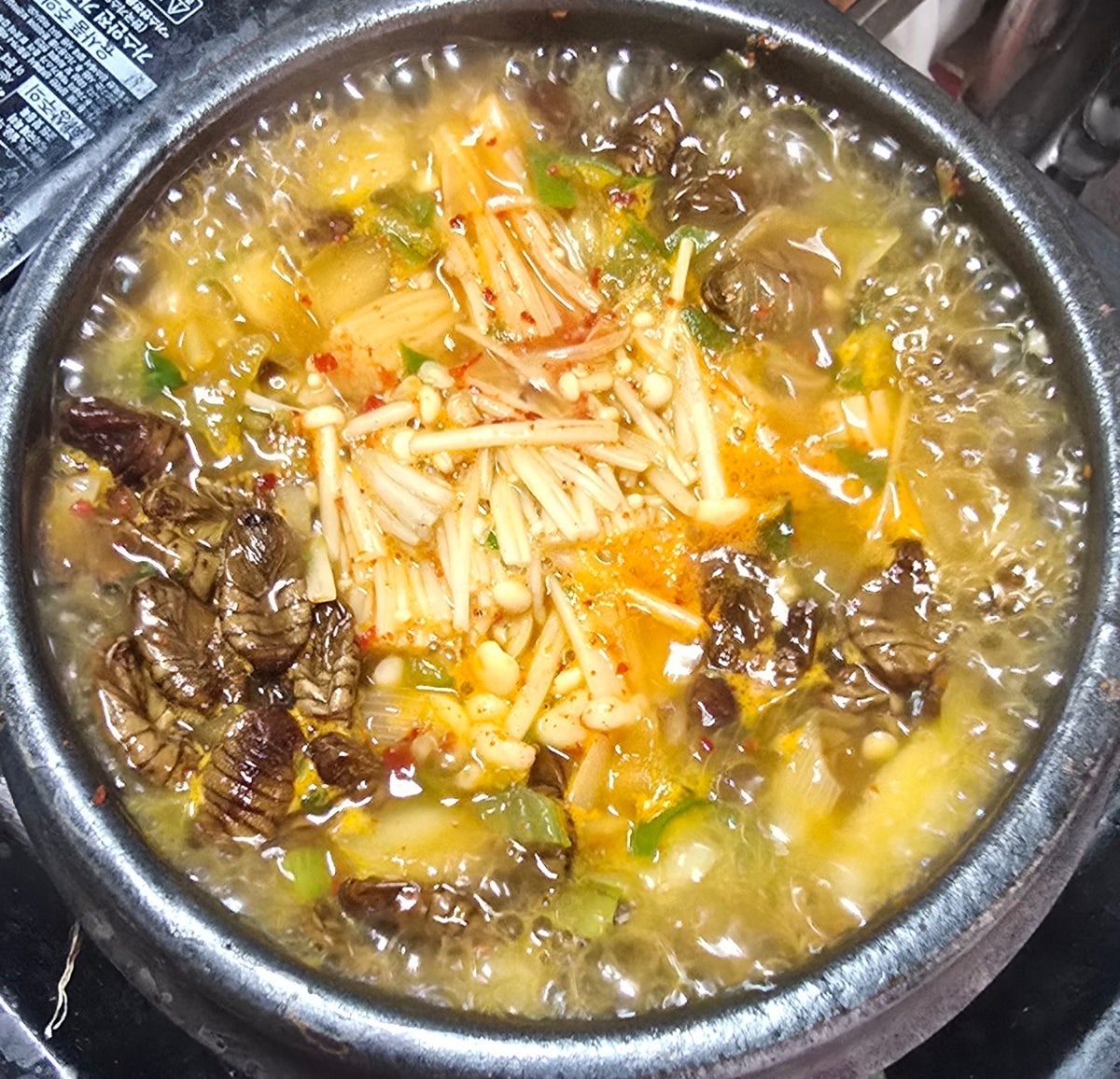 까치네 사진 4