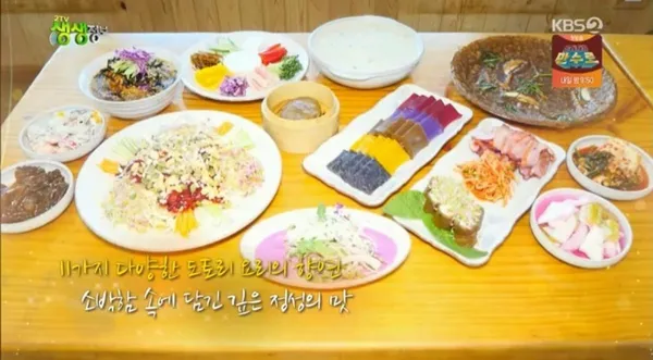 꿀참나무 사진 3