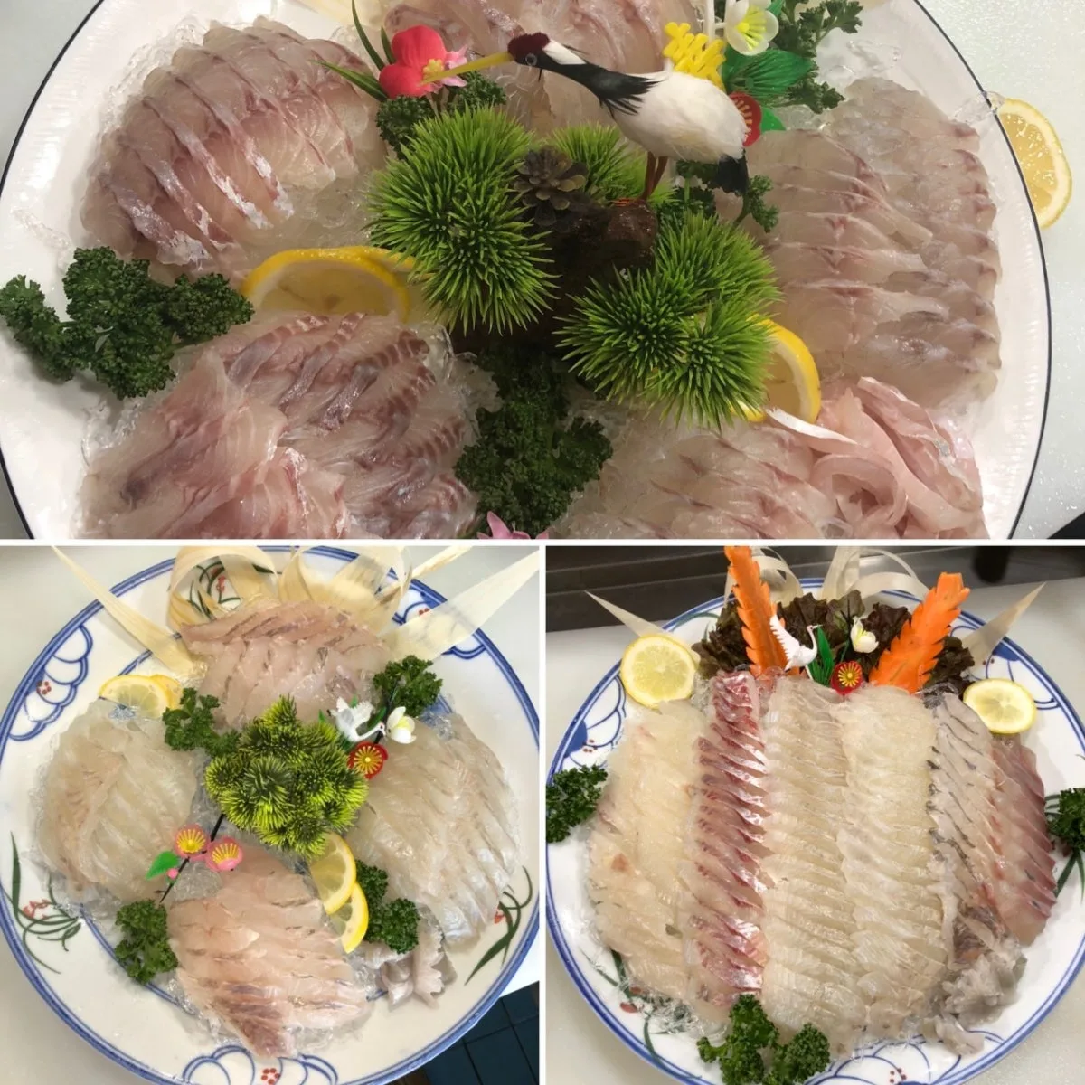 トルゴレフェッチプのメイン写真