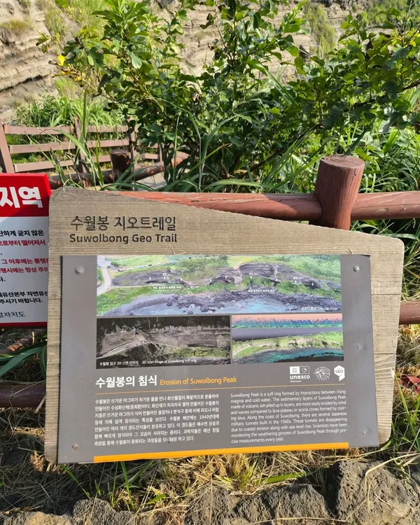 수월봉 지질트레일 사진 4