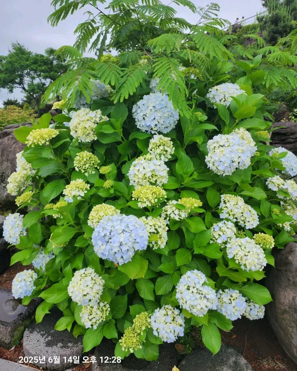 남촌가마솥순대국집