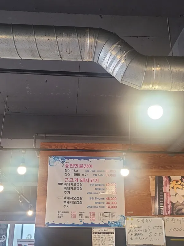 도니장어 사진 2