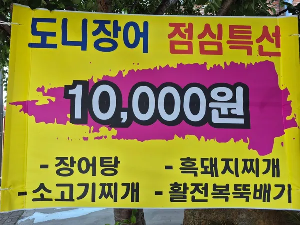 도니장어 사진 4