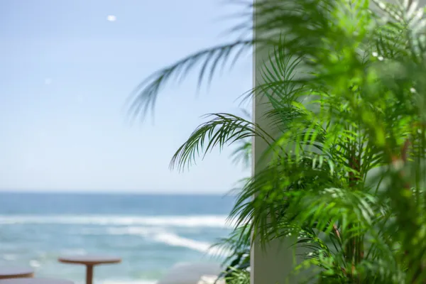 오핑하우스 사진 2