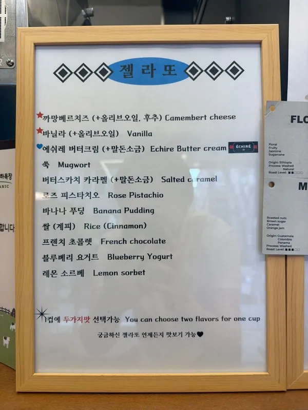 더마틴 사진 5
