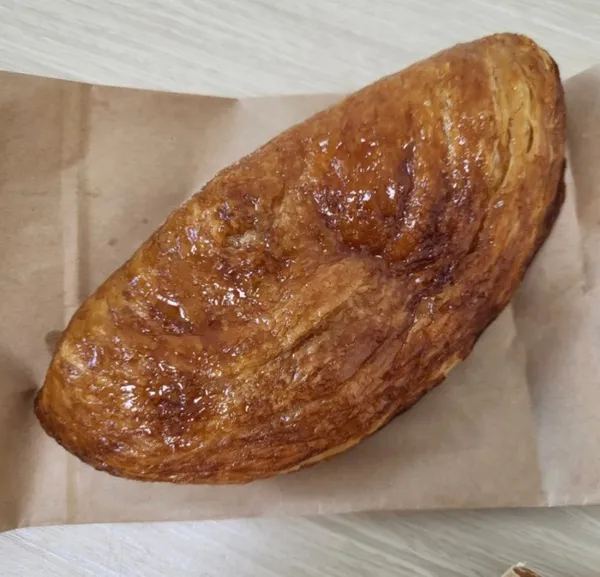 밀토니아 사진 2