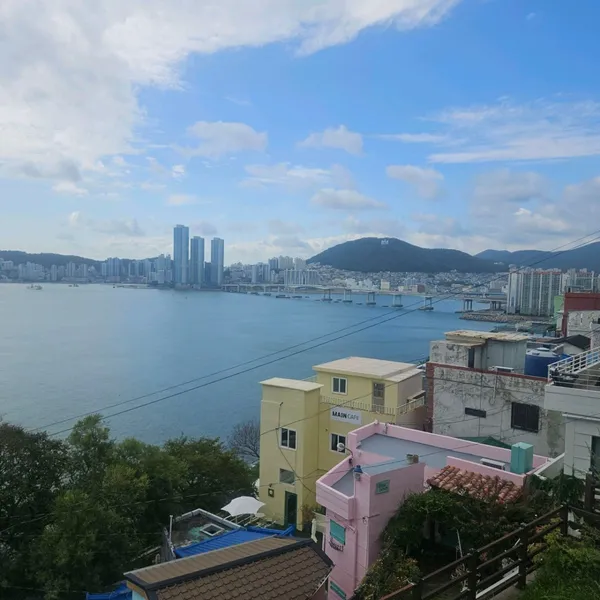 여울책장 사진 5