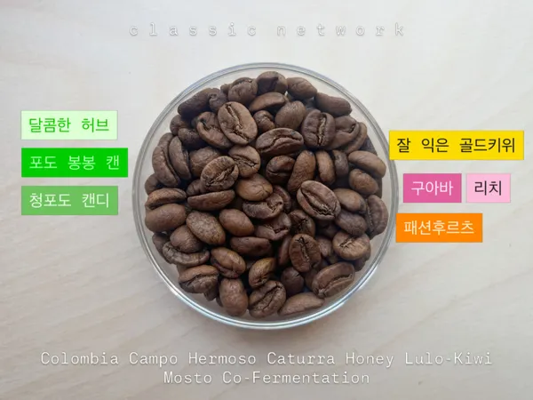 클래식네트워크 사진 3