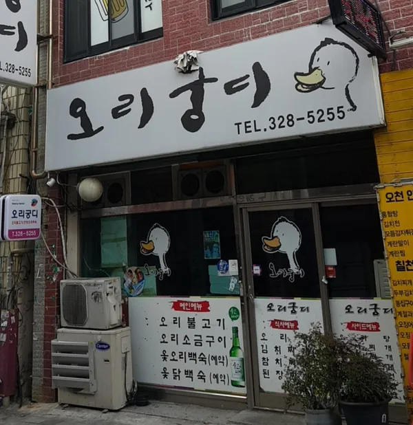 오리궁디 사진 2