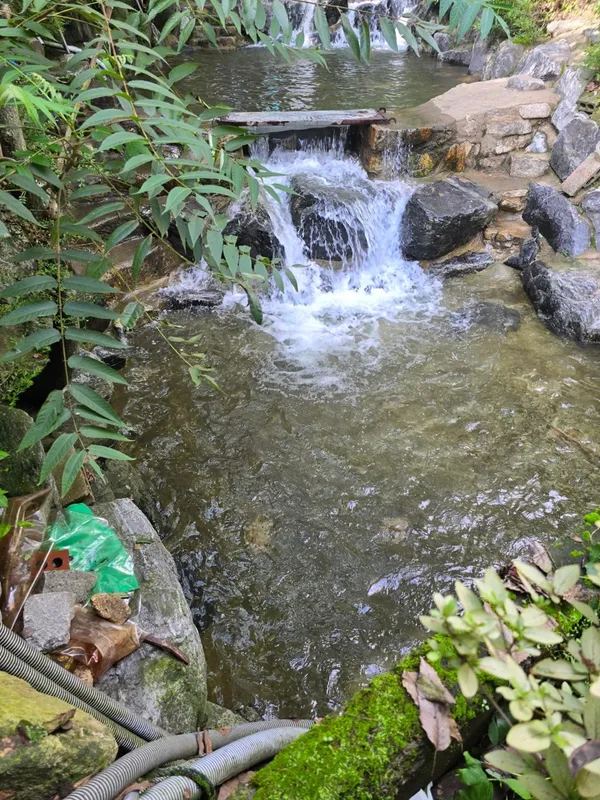 봉암식당 사진 2