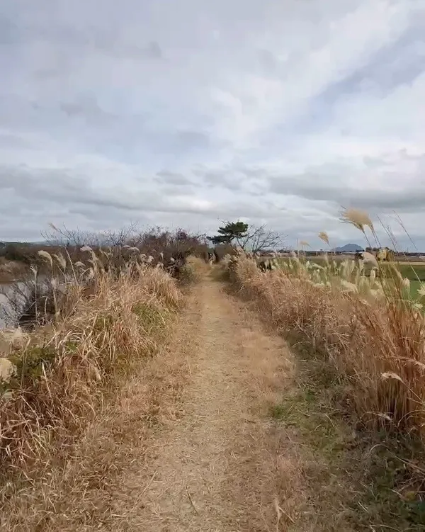 Jeju Olle Trail Course 12, photo 4