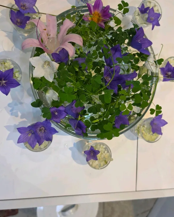 노방촌 사진 2