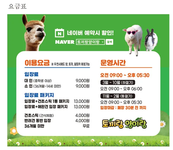 토끼랑 양이랑