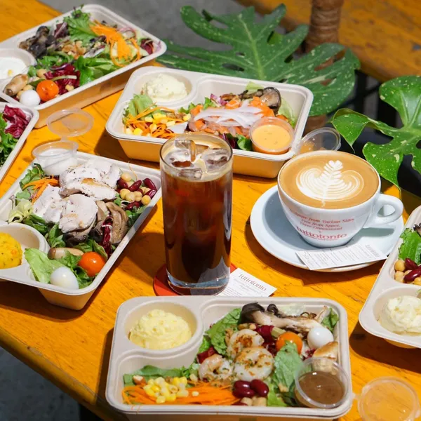 투또톤토 사진 2