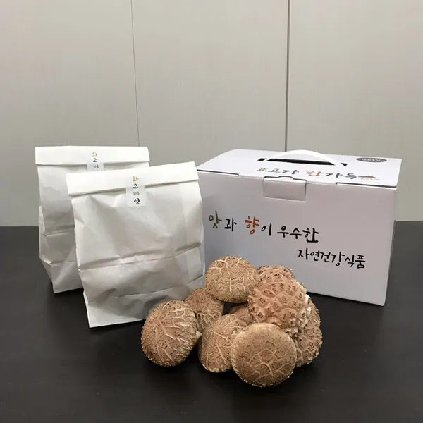 또바기농장 표고버섯 체험 사진 2