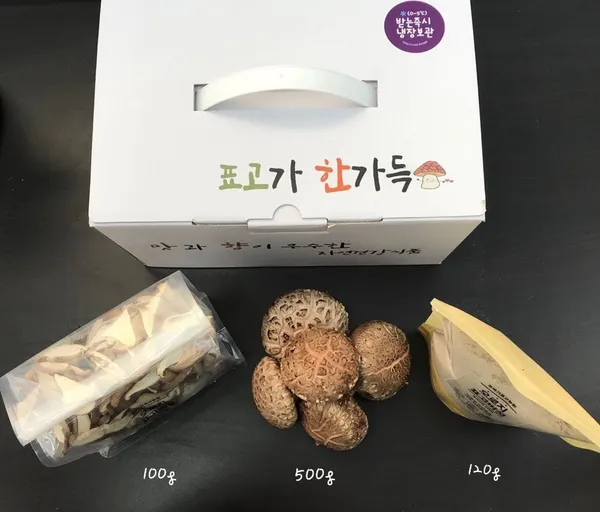 또바기농장 표고버섯 체험 사진 4