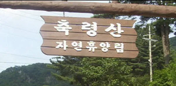 축령산자연휴양림 사진 2