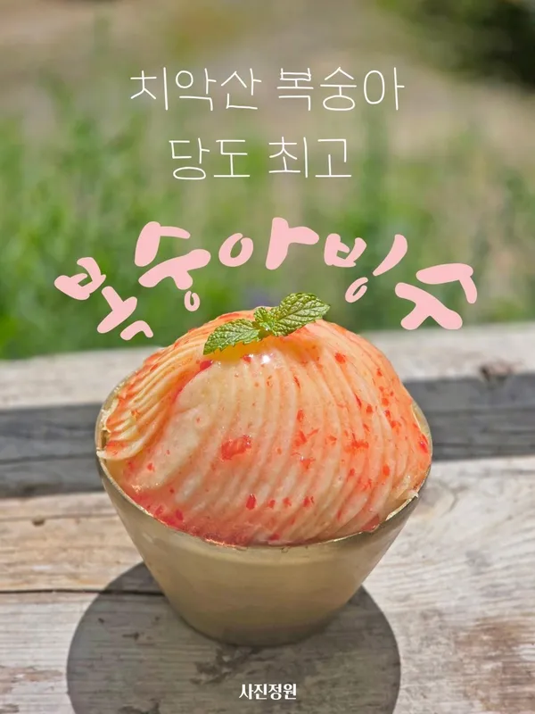 사진정원 사진 2